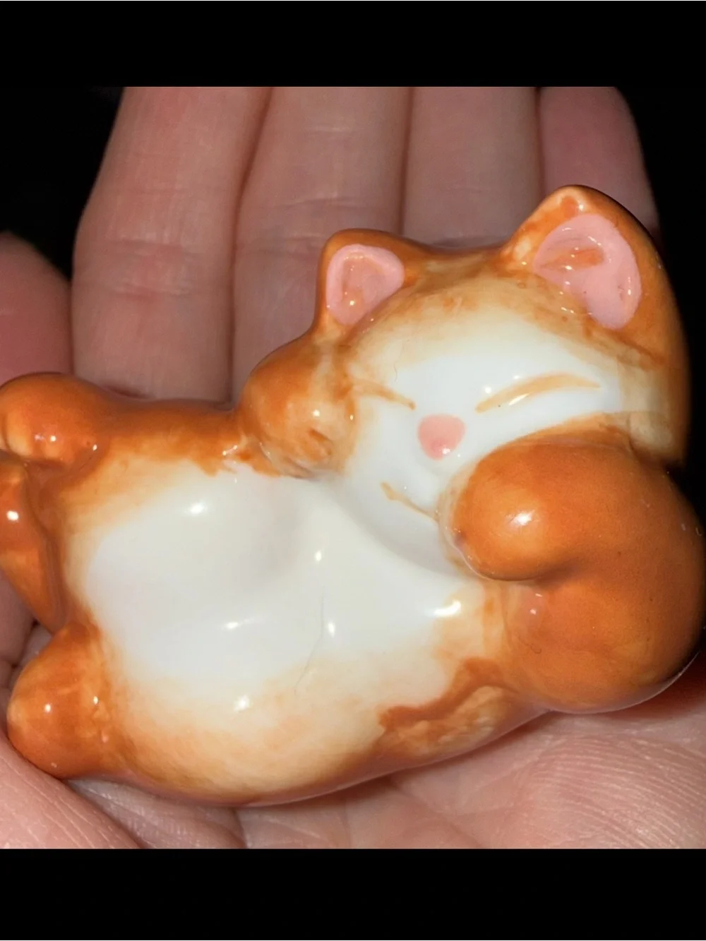 N/A orange tabby